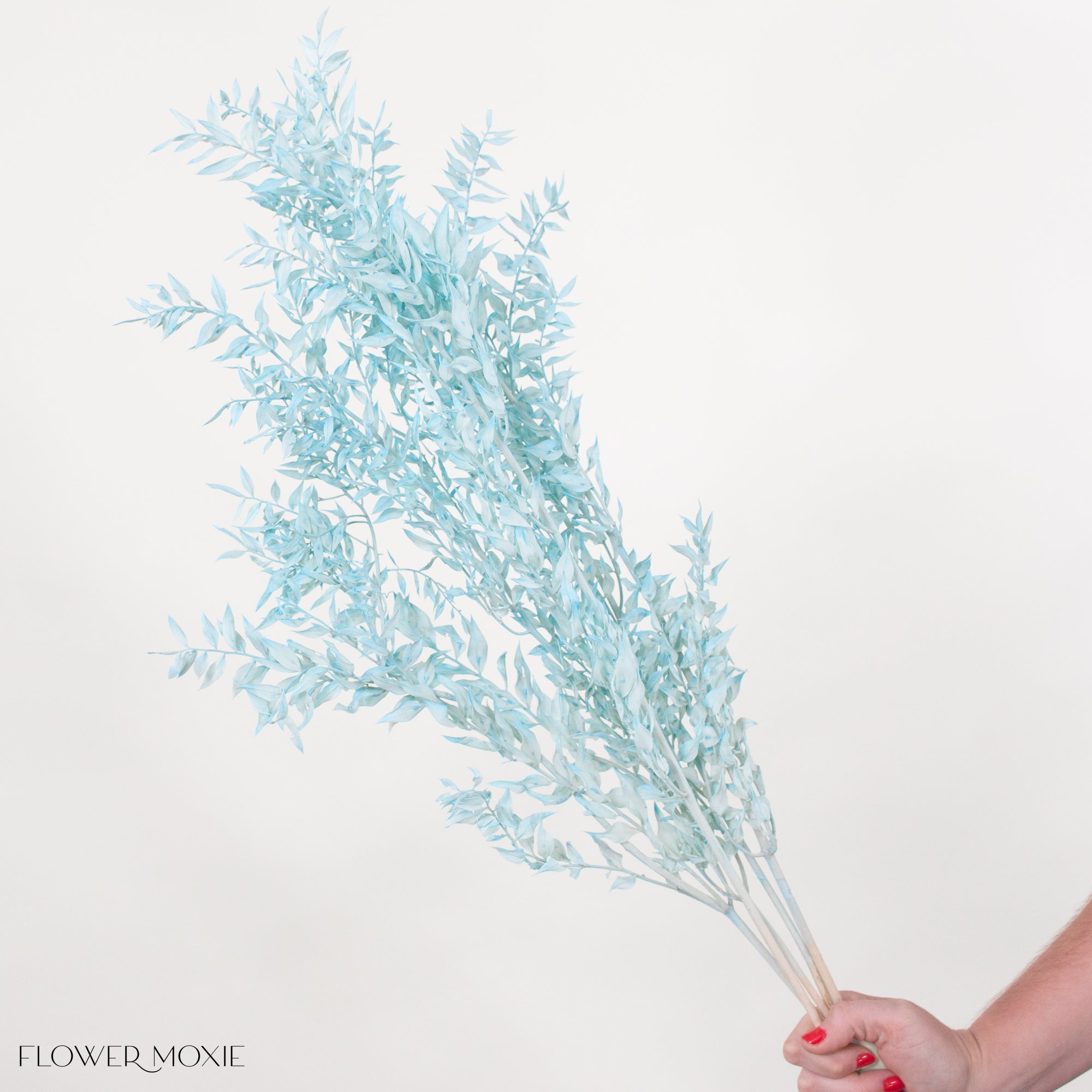 Preserved Blue Supply Flower – Flower Italian Ruscus DIY | Supply Moxie