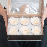 pale peach preserved roses