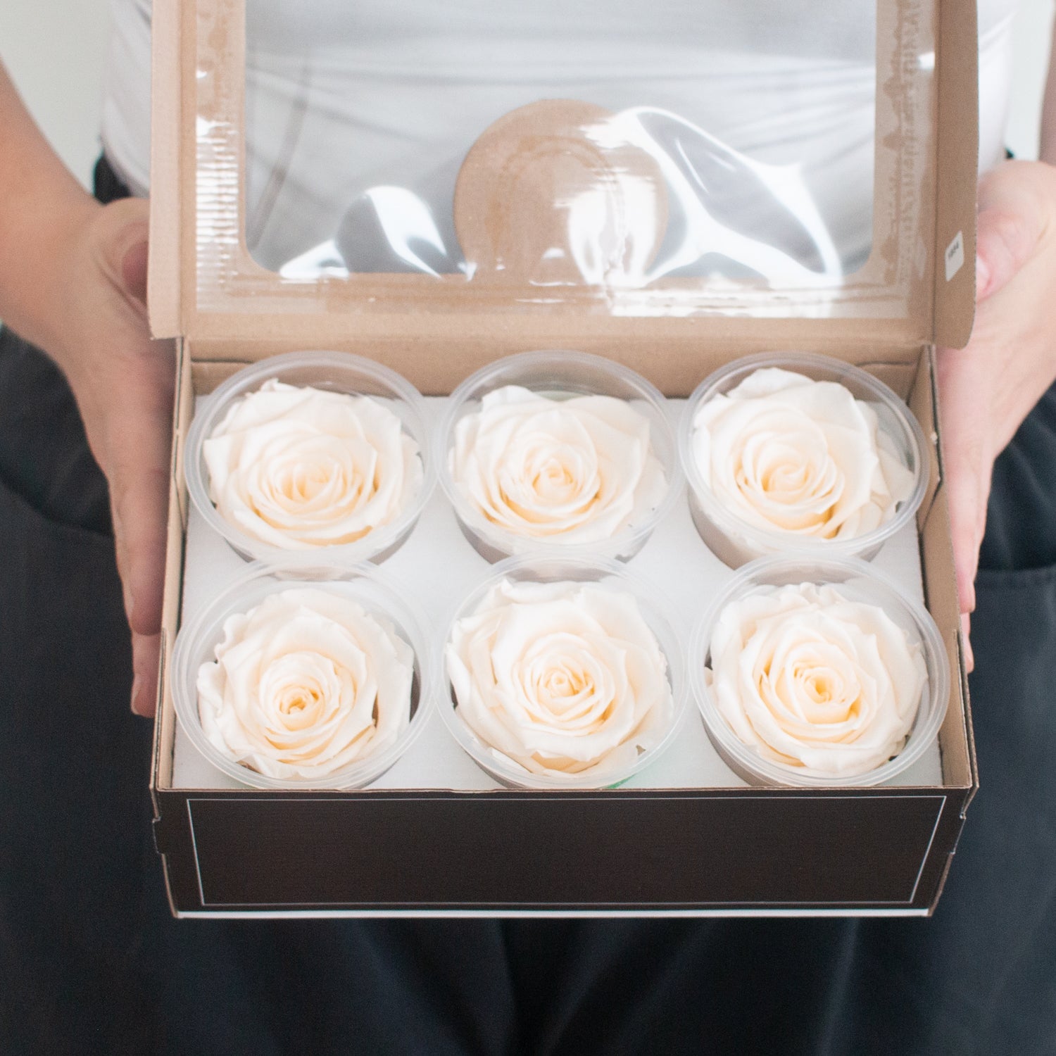 pale peach preserved roses