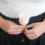 pale peach preserved roses