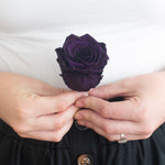 dark purple preserved roses