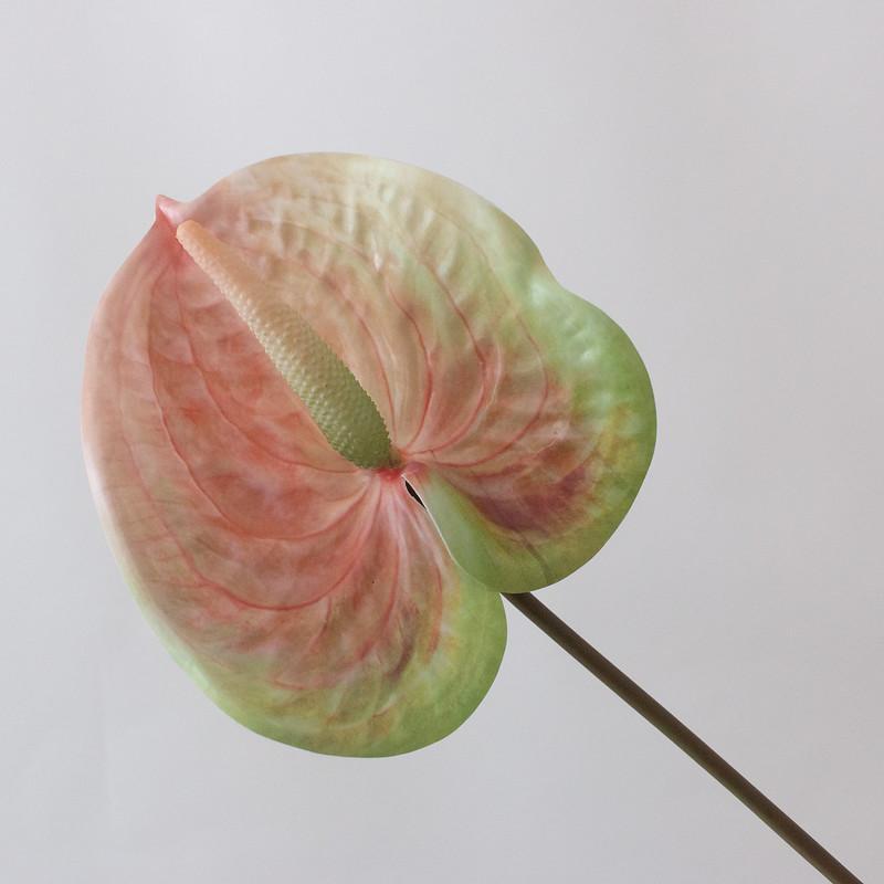 anthurium safari Faux Peach Anthurium Tropical Wedding Flower