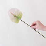Faux White Anthurium Tropical Wedding Flower