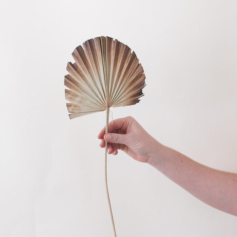 Natural Burnt Sun Palm Fans