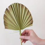 Green Burnt Sun Palm Fans for DIY Dried Weddings