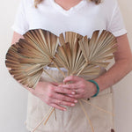Natural Burnt Sun Palm Fans