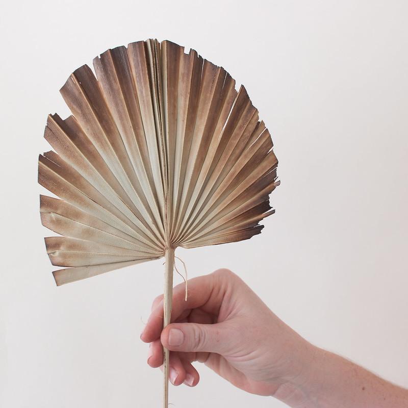 Natural Burnt Sun Palm Fans