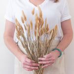 Natural Tan Dried Bunny Tail Grass