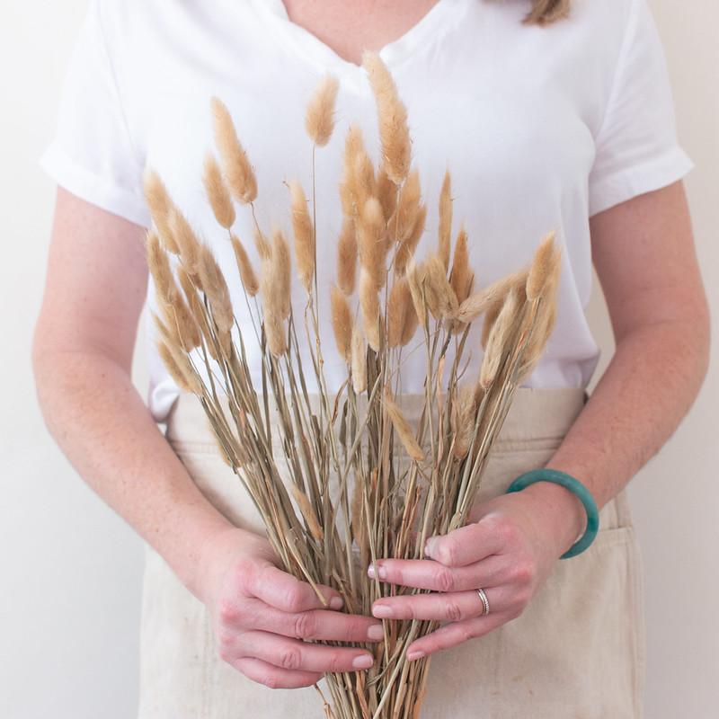 Natural Tan Dried Bunny Tail Grass