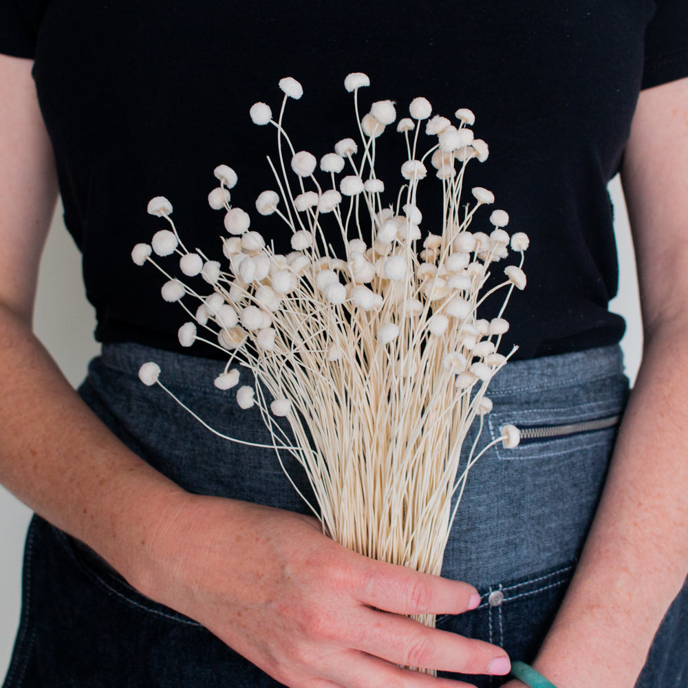 dried white floral buttons
