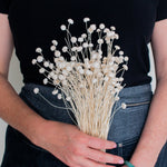 dried white floral buttons