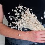 dried bleached white floral buttons