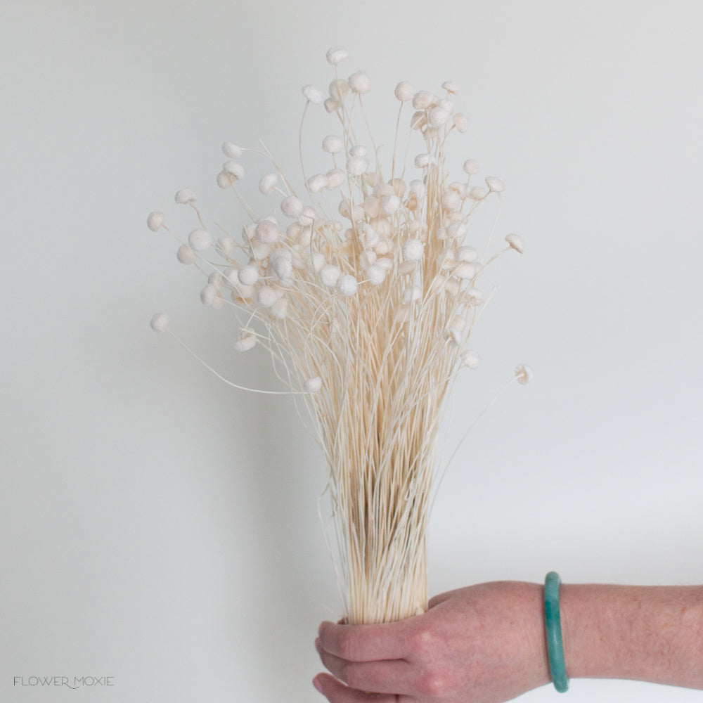 dried bleached white floral buttons