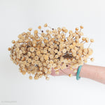 dried beige happy flower