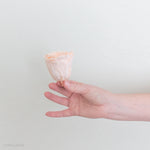 light peach preserved roses