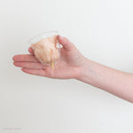 Beige Preserved Roses