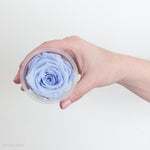 Periwinkle Blue Preserved Roses