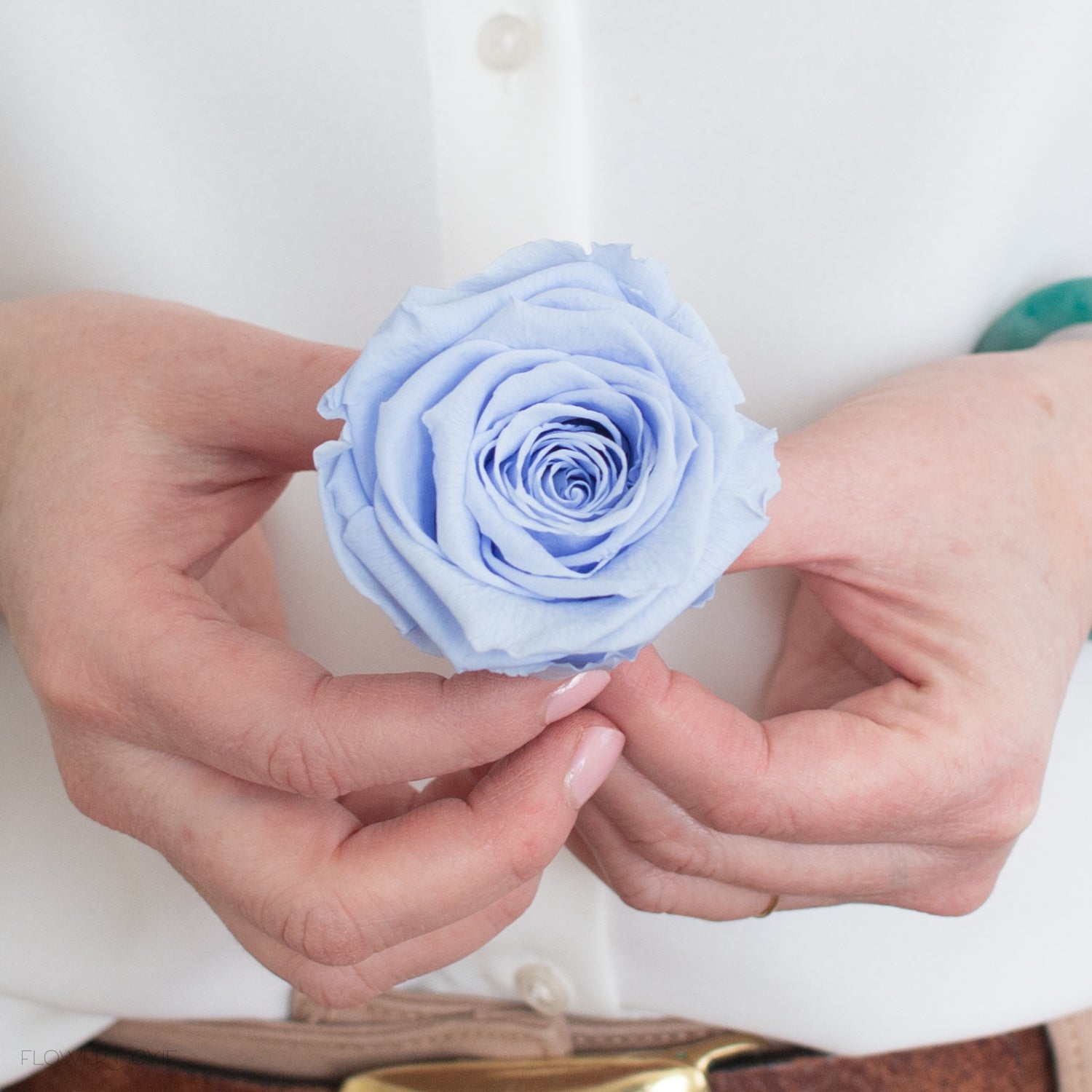 Periwinkle Blue Preserved Roses