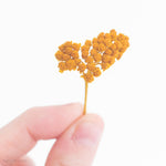 dried yellow ochre yarrow flower