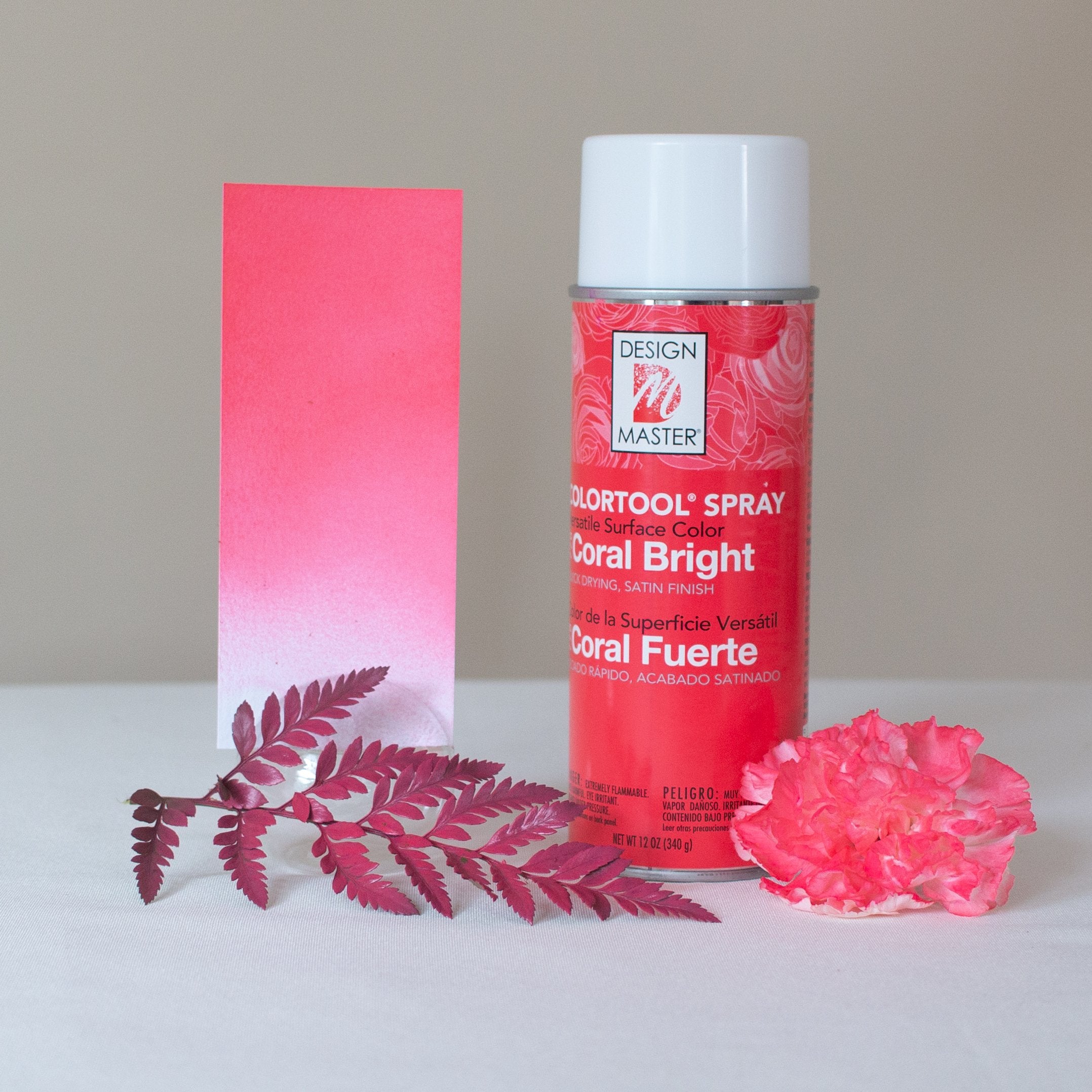 Coral Bright Design Master Floral Spray Paint, Flower Moxie