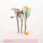 Colorful Dried Flower Bud Vase Set