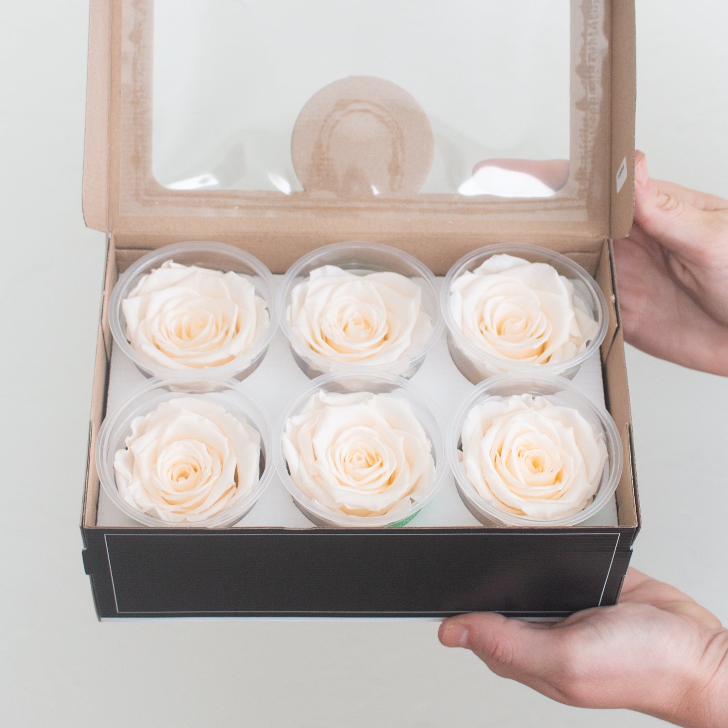 pale peach preserved roses