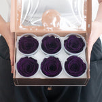 dark purple preserved roses