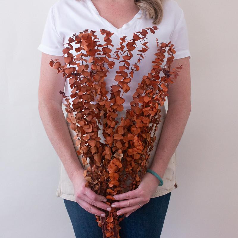 Dried Burnt Orange Autumn Baby Eucalyptus