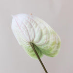 Faux White Anthurium Tropical Wedding Flower