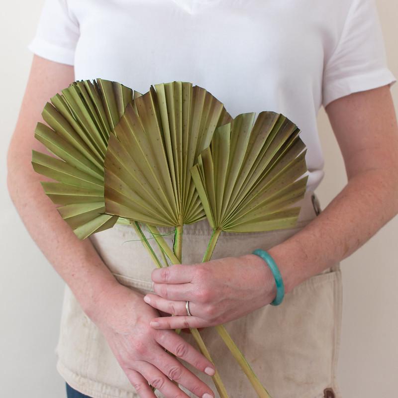 Green Burnt Sun Palm Fans for DIY Dried Weddings