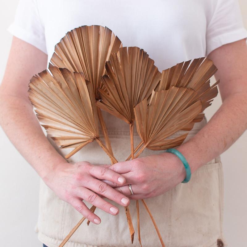 Spice Burnt Sun Palm Fans