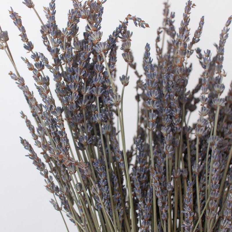 Lavender Dried Flowers