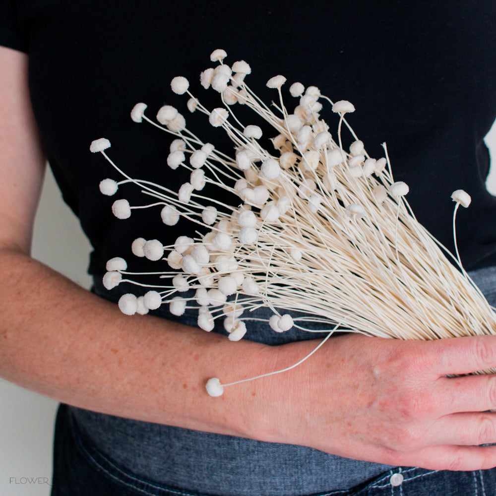 dried bleached white floral buttons