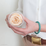 beige preserved rose