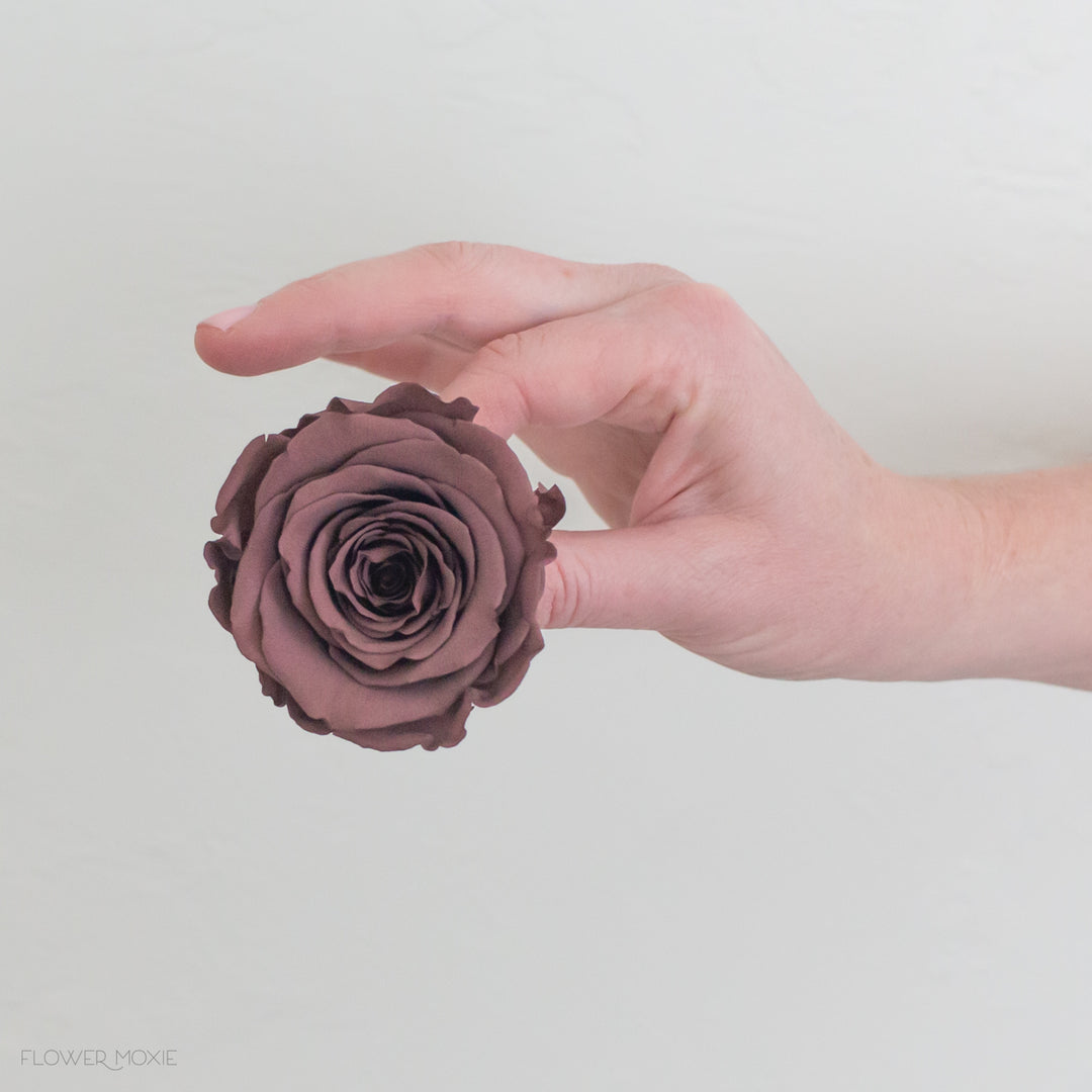 Preserved Roses in moody mauve | Flower Moxie | DIY Wedding – Flower ...