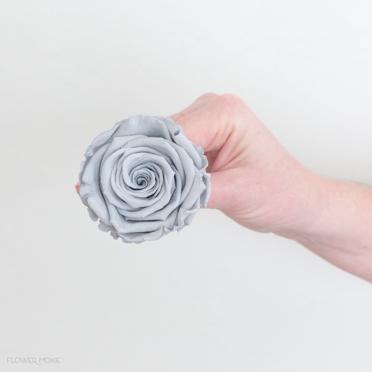 gray preserved roses