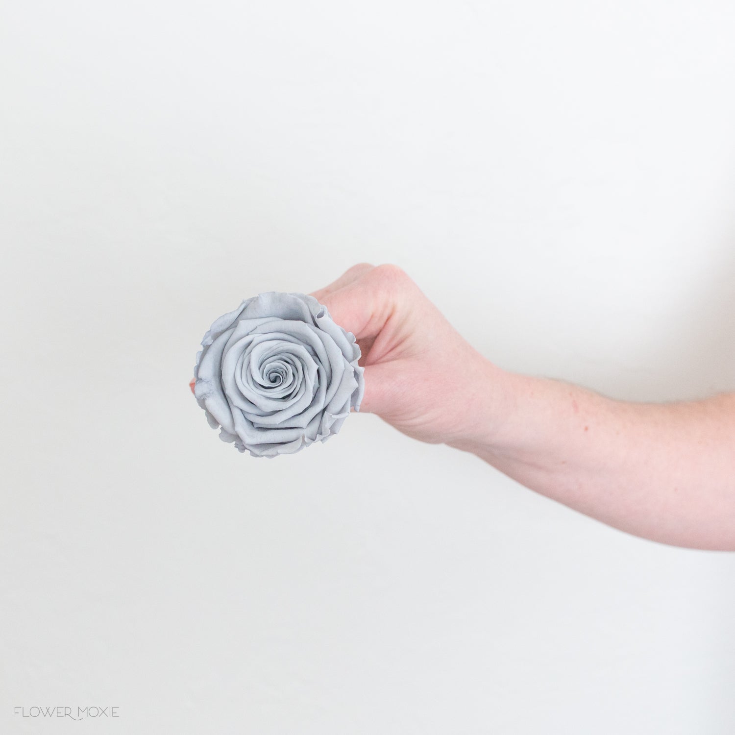 gray preserved roses