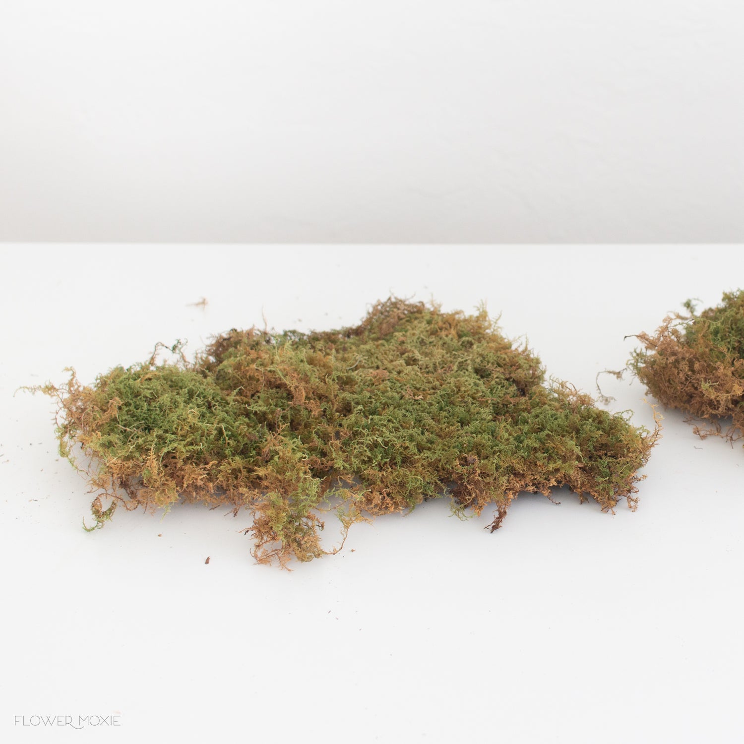 Dried Sheet Moss - Preserved Bulk Box Sheet Moss
