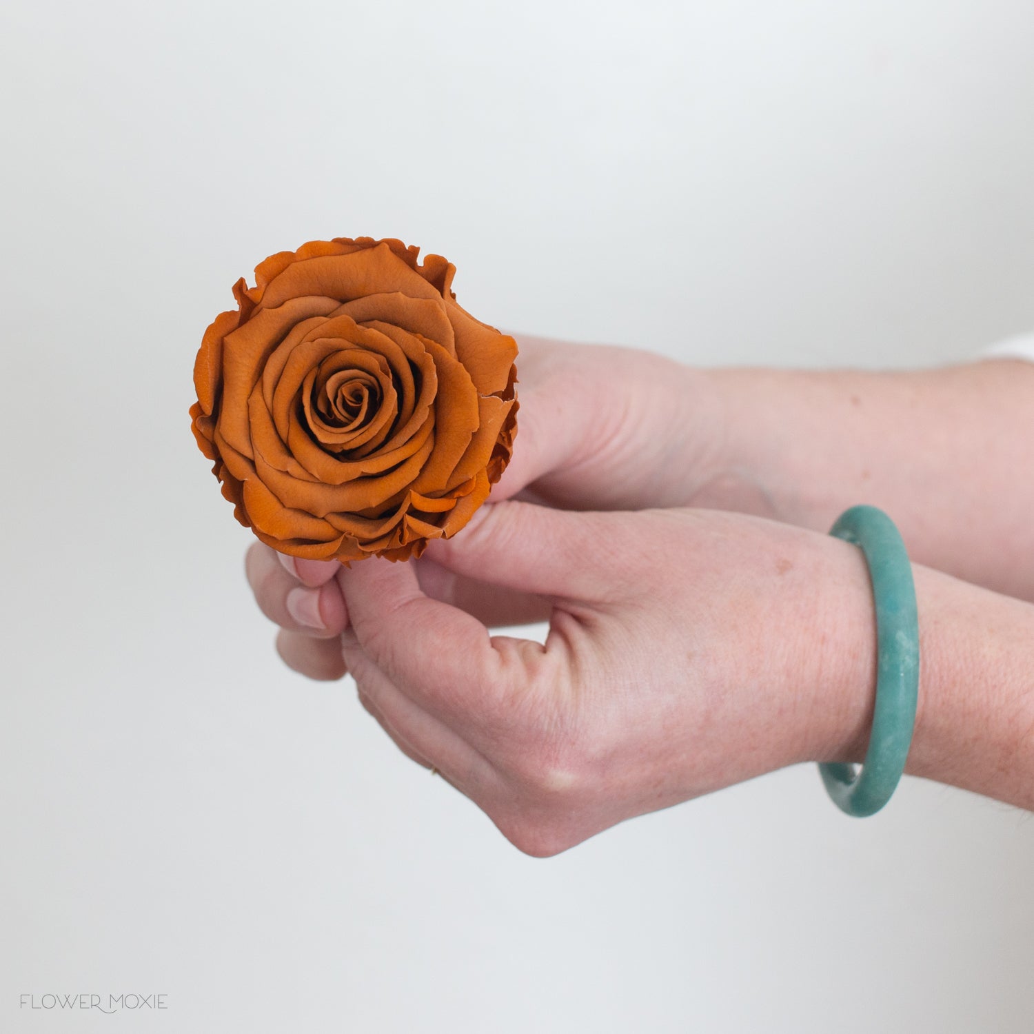Brown Clay Preserved Roses