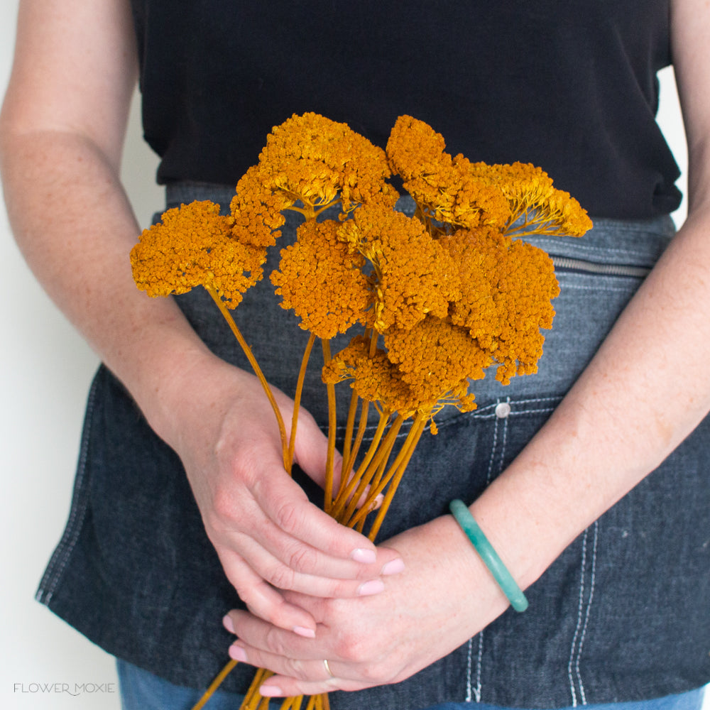 dried mustard yarrow flower