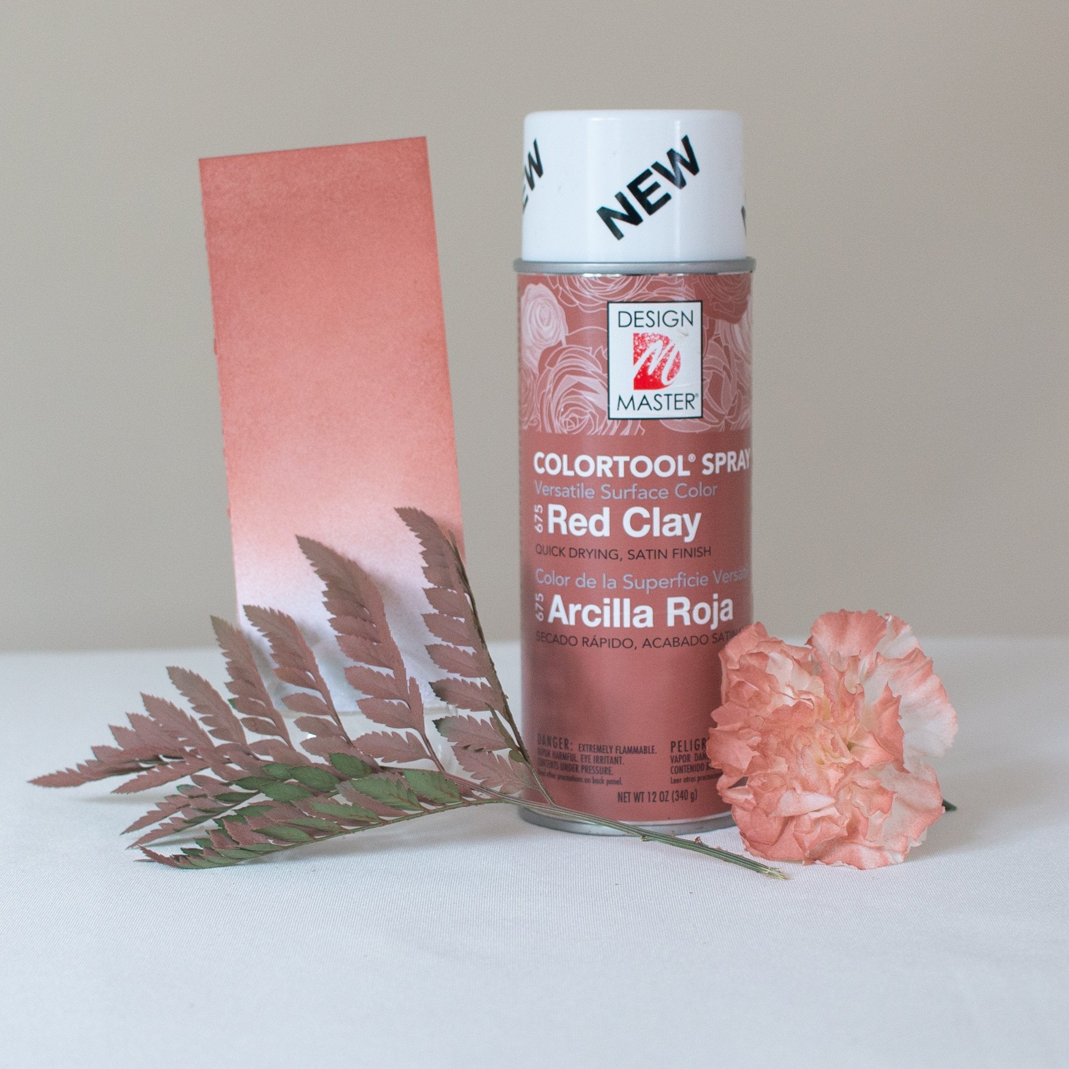 Red Clay Design Master Colortool Floral Spray Paint