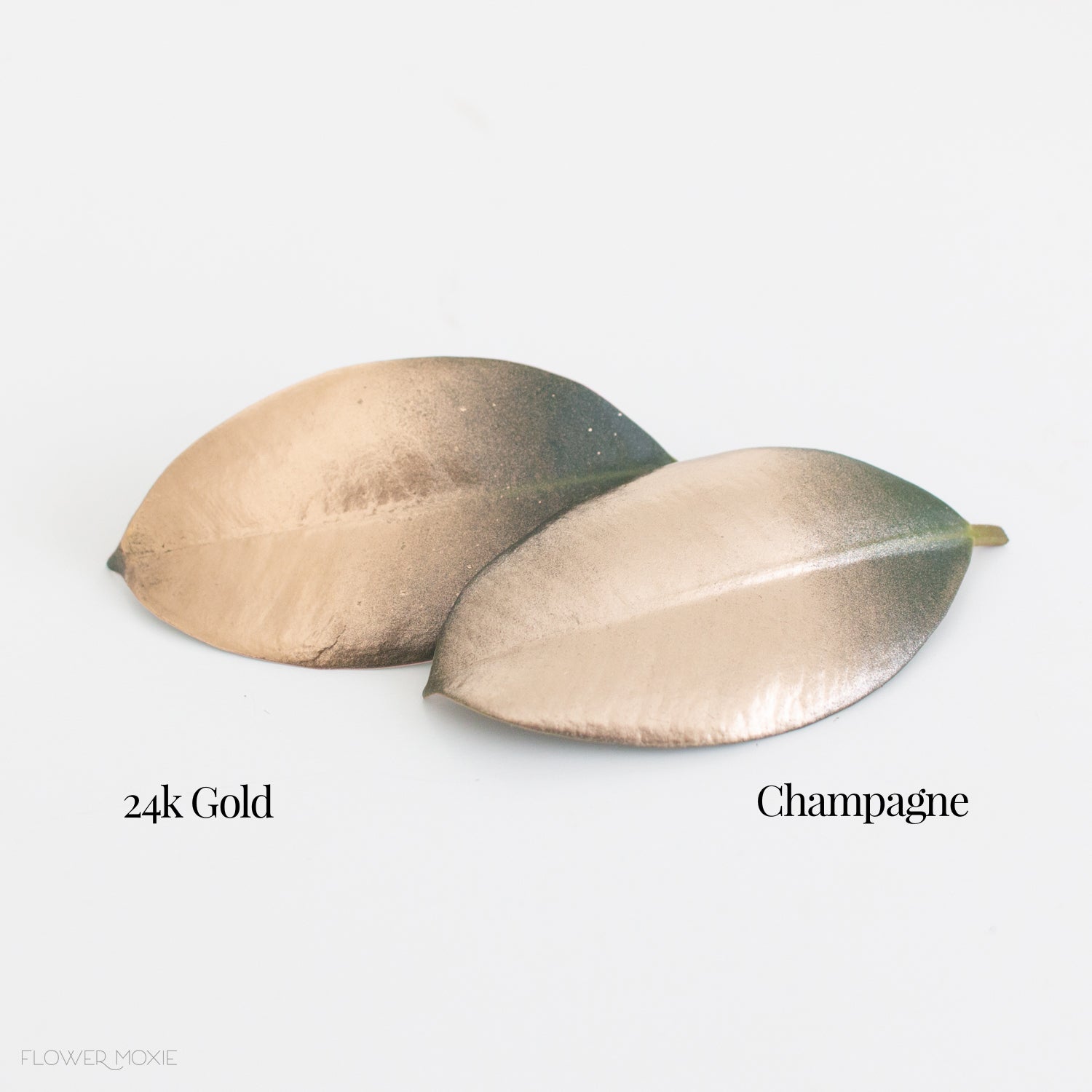 24k Gold Metallic Design Master Floral Spray Paint