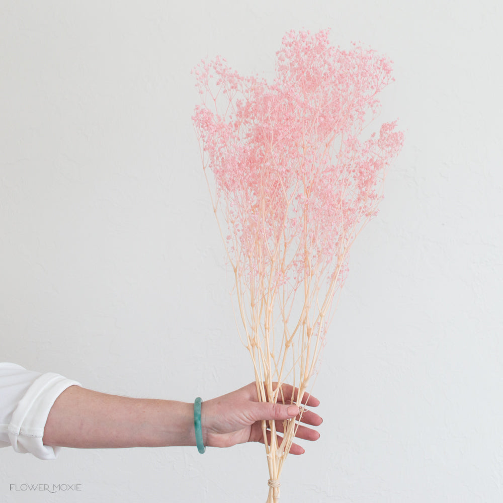 Dolled Up Hot Pink Dried Baby's Breath | FiftyFlowers