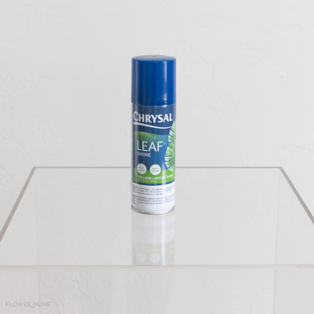 leaf shine spray for indoor plants Chrysal Leafshine for Fresh Greenery | Flower Moxie